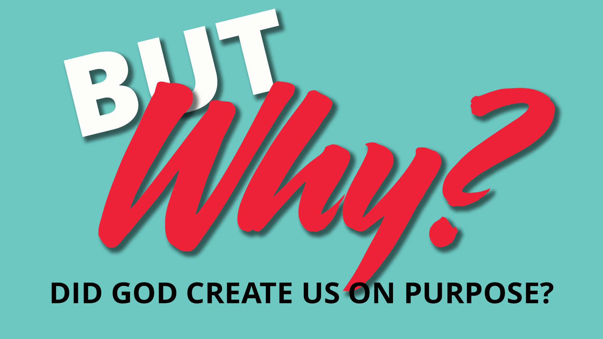 But Why? – Did God Create Us On Purpose?